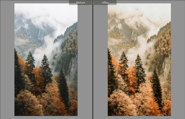 Fall Lightroom Preset - Image 11