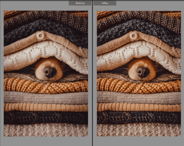 Fall Lightroom Preset - Image 2