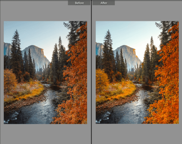 Fall Lightroom Preset - Image 8