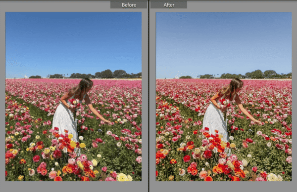 Spring Lightroom Presets - Image 2