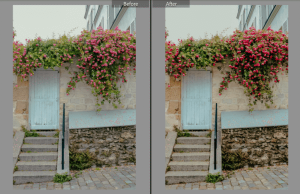Spring Lightroom Presets - Image 8