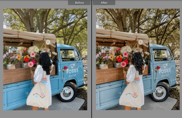 Ultimate Lightroom Preset Pack - Image 2