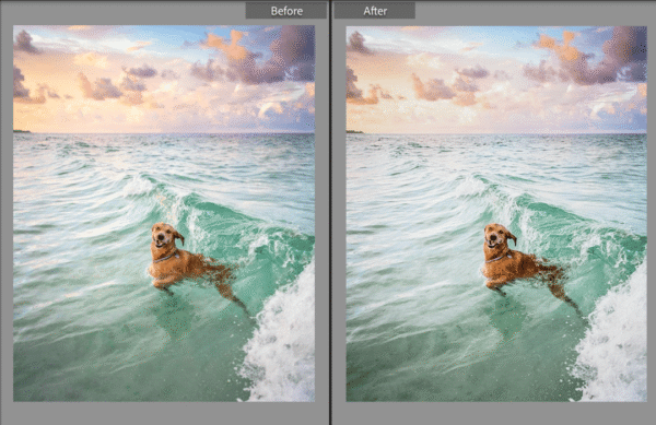 Summer Lightroom Presets - Image 4