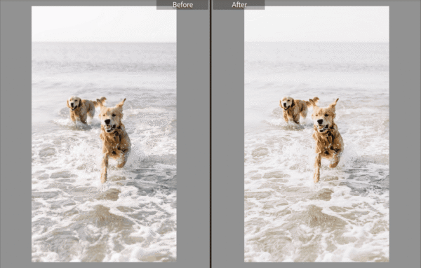 Summer Lightroom Presets - Image 2