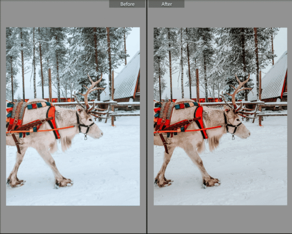 Winter Lightroom Presets - Image 6