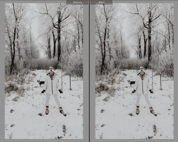 Winter Lightroom Presets - Image 2
